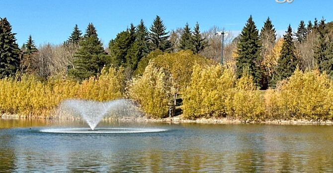 Understanding Seasonal Affective Disorder image