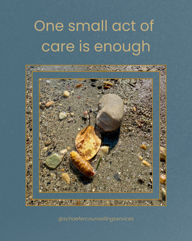 Close-up of a leaf, pinecone, and rock resting on the shore of a lake. Gentle ripples of water are visible in the background, evoking a calm, natural setting.