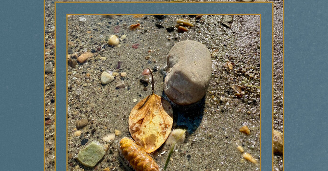 Navigating Mondays When Trauma Lingers image