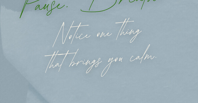 Creating Space to Reset as the Week Winds Down image