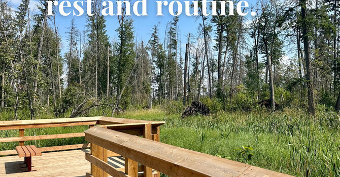 August: A Moment Between Seasons image