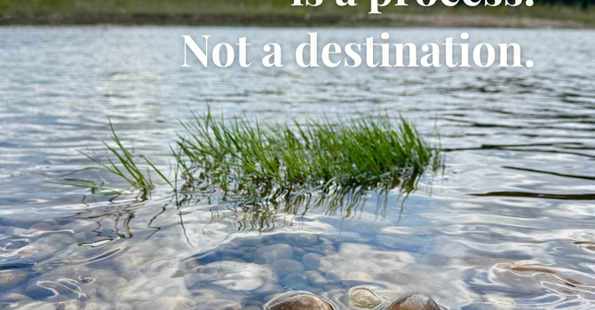  August is National Wellness Awareness Month  image