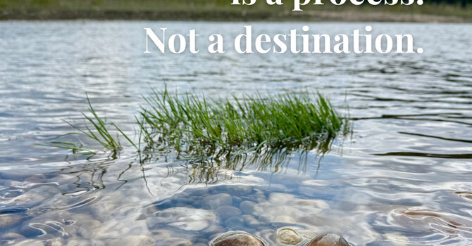  August is National Wellness Awareness Month  image