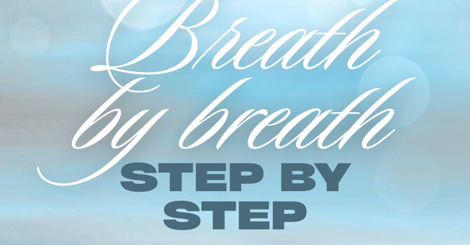  A Gentle Start to the Week image