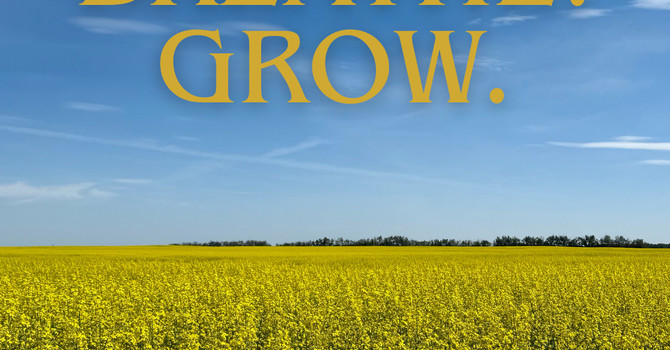 Friday Reflection  image