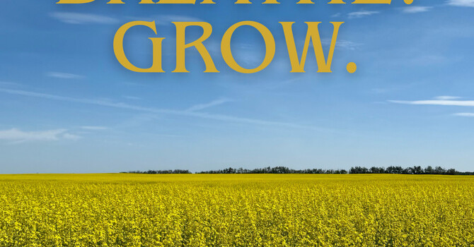 Friday Reflection  image