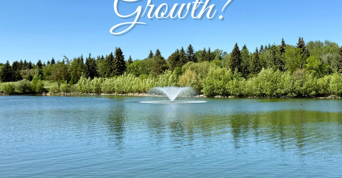 Friday Reflection: Noticing Your Growth image