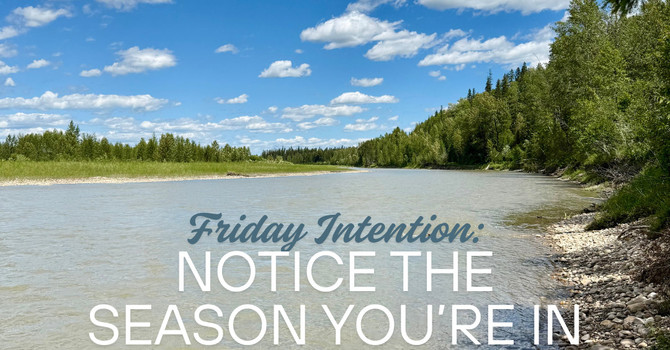Friday Intention: Notice the Season You’re In image