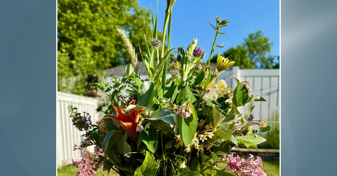  Summer Solstice – Embracing Growth  image