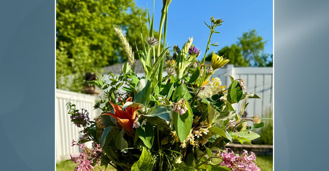  Summer Solstice – Embracing Growth  image