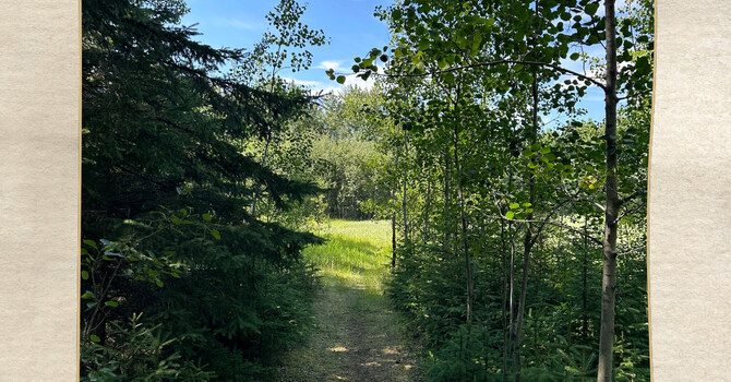 Wednesday Wisdom: Small Steps Matter  image