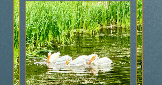 Unexpected Moments of Healing  image