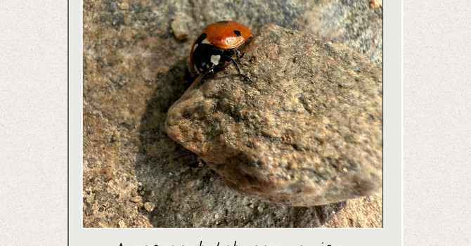 A Day in the Life of a Therapist  image