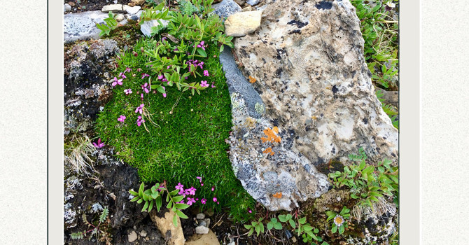  Midweek Grounding image