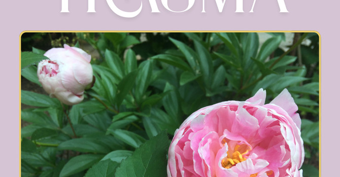 Healing from Trauma image