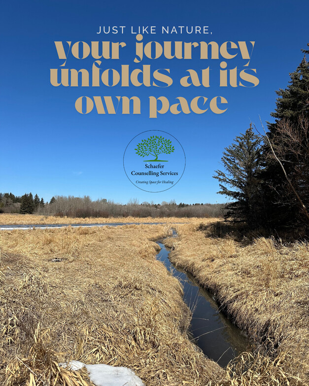 trauma therapist counselling 