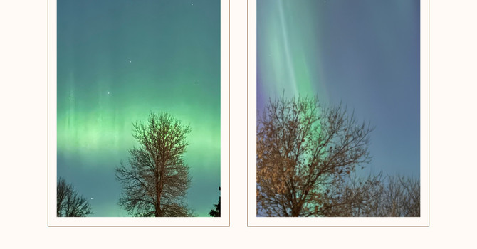 Your Light Still Shines image