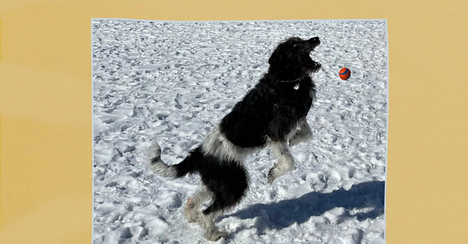 Feel Good Friday image