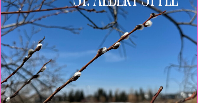 Welcome, Spring! image