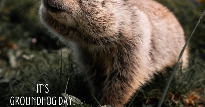 Groundhog Day & Mental Health image