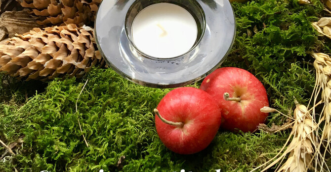 Carrying Gratitude Through October  image