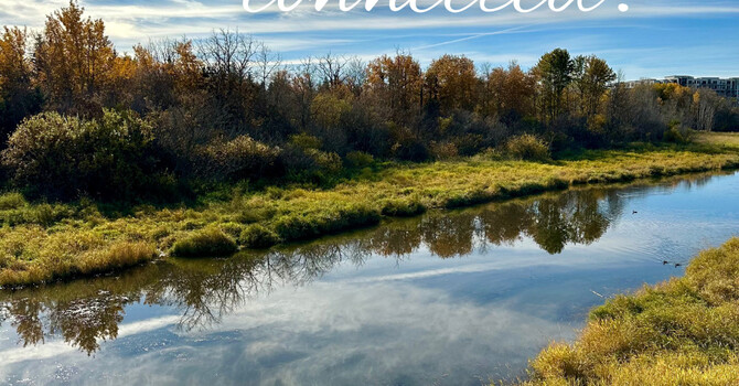 Small Moments, Big Connections: Finding Belonging in Everyday Life image