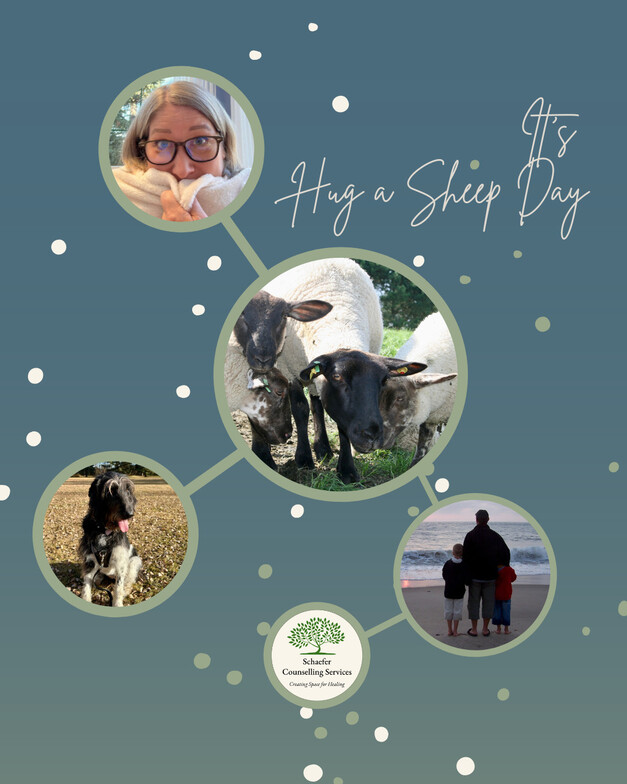 Photo collage of a dog, sheep, a father and two sons standing on a beach hugging, and a woman cuddling with a blanket.