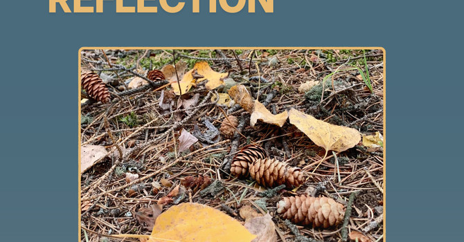 November's Quiet Invitation