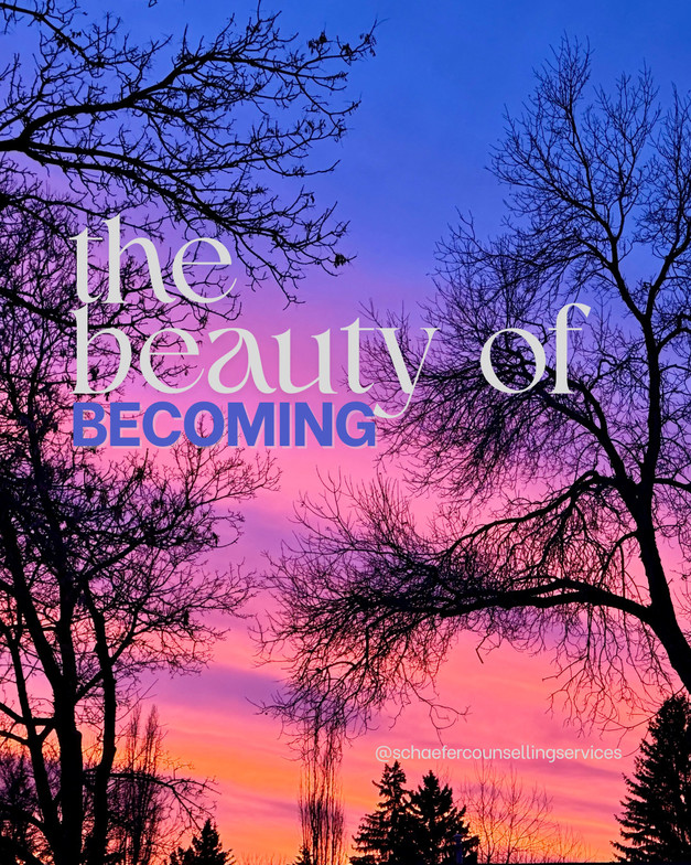 Sunset through the trees.