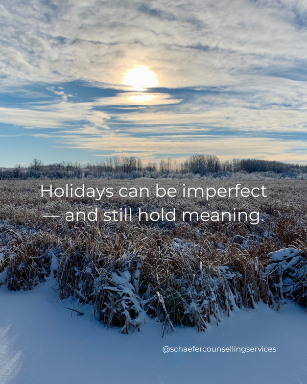 Snow-covered reeds at Lois Hole Provincial Park with a winter sunset, blue cloudy skies, and trees on the horizon, symbolizing serenity, imperfection, and mindful holiday reflection.