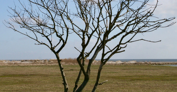 For Those Carrying Loss This Season: Holding Grief During the Holidays