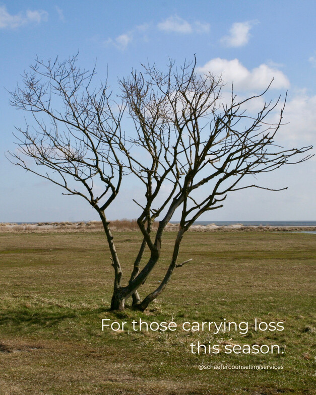A lone bare tree on a quiet beach, symbolizing grief during the holidays.