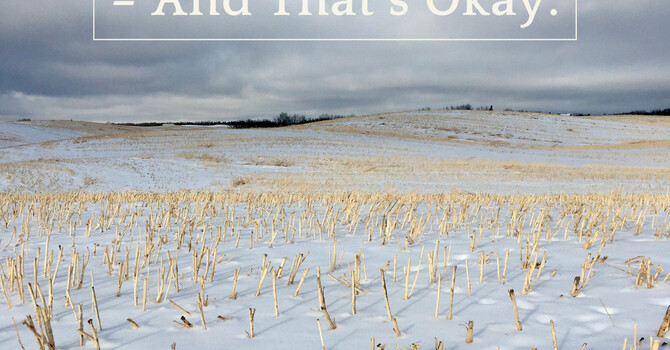 Your December Energy Budget image