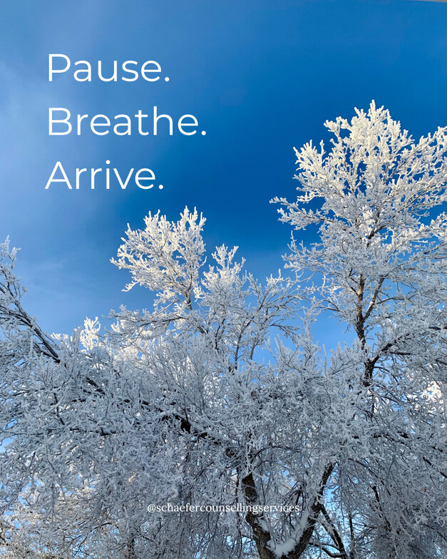 Image by Annika Schaefer.