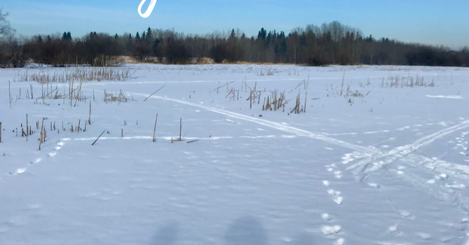 The Power of Gentle Connection