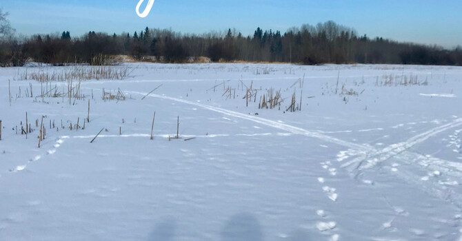 The Power of Gentle Connection image