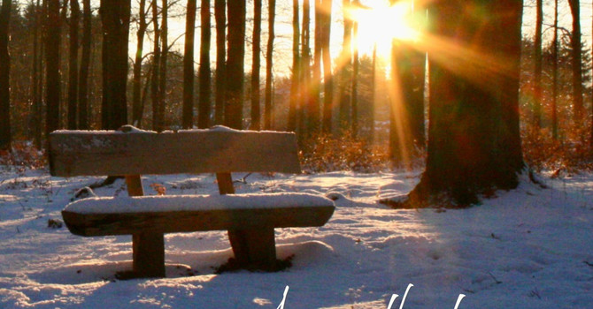 Exploring Therapy in St. Albert: A Gentle Reminder as Benefits Renew