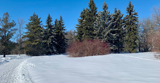 Starting the Year Gently: Reflection, Not Reinvention