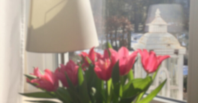 The 10:00 AM Reset: Fighting Winter Brain Fog in Alberta image