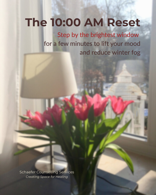 Winter sunlight through a window to support mental health and reduce winter brain fog in Alberta.