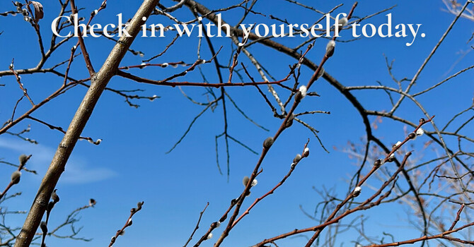 Spring Check-In: How Seasonal Changes Affect Your Mental Health