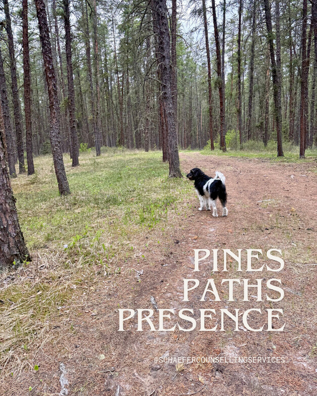 A forest path with pine trees swaying in the wind, leading through nature on a quiet, overcast day.