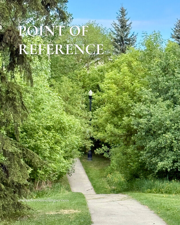 A concrete park path winds down into dense green trees and bushes under a blue sky. In the center, a black lamppost stands surrounded by leaves, its glass top bright from a gap in the tree canopy.