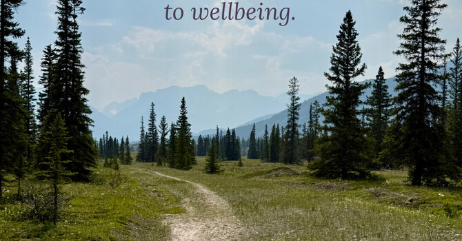There Is More Than One Path to Wellbeing