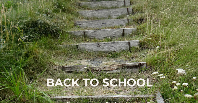 Back to School: Supporting the Whole Family Through Transition