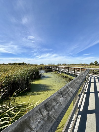 Book An Introductory Call